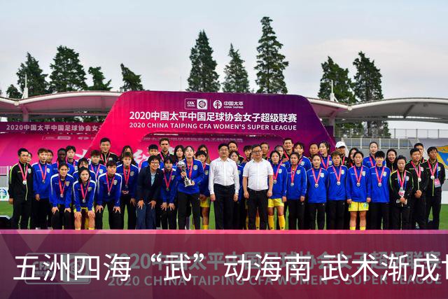 五洲四海“武”动海南 武术渐成世界语言