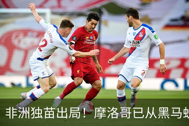 非洲独苗出局！摩洛哥已从黑马蜕变为劲旅 四年后主场见